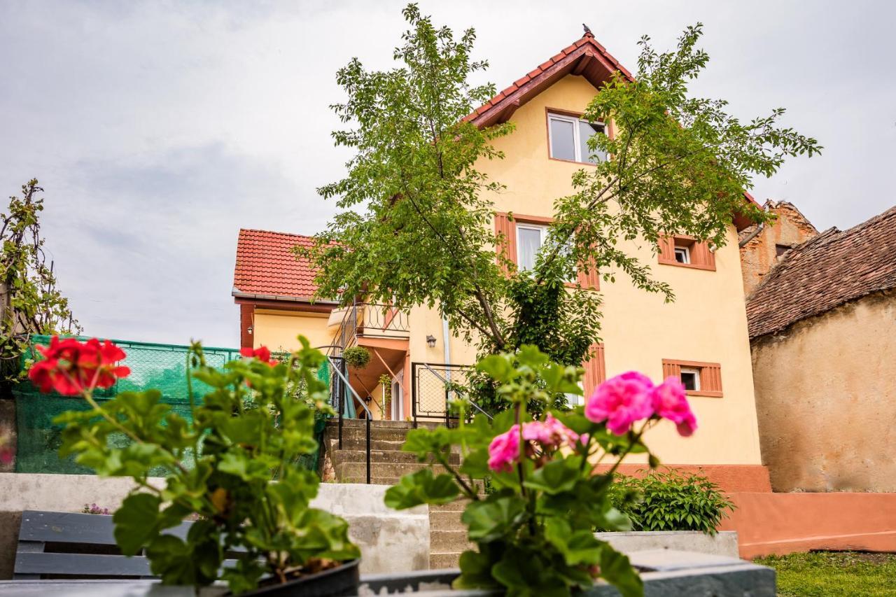 Gabi'S Home #2 Sighisoara Bagian luar foto